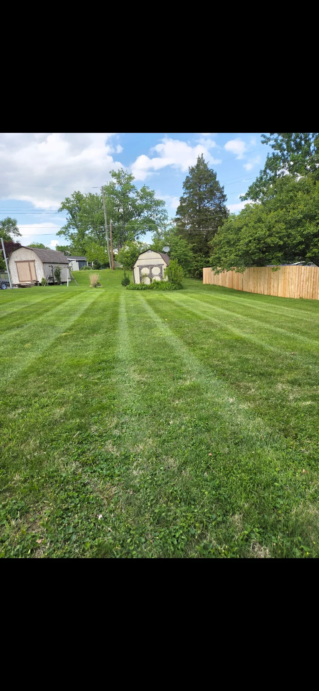 Striped lawn mowing pattern on residential property with mature trees and storage structures