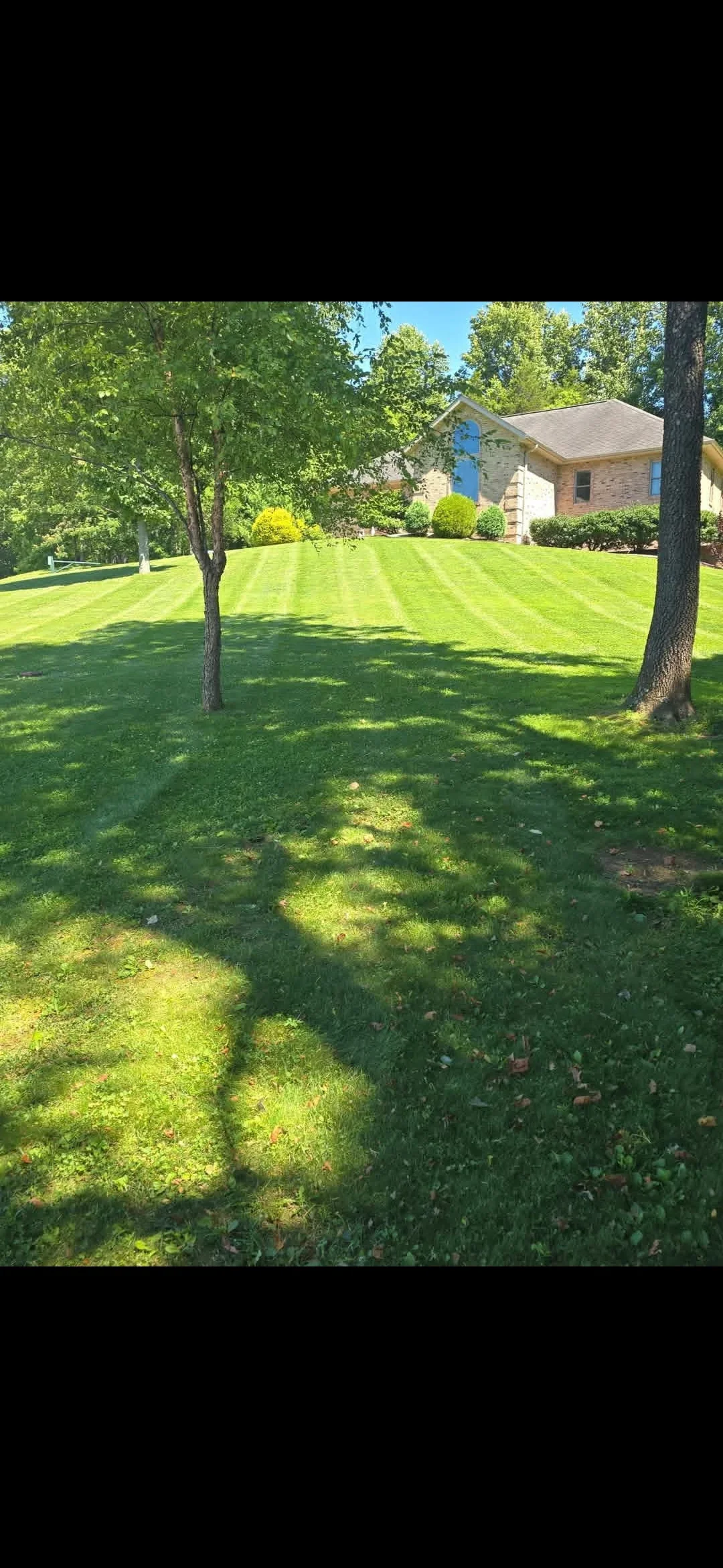 Striped lawn mowing pattern on residential property with mature trees and brick home
