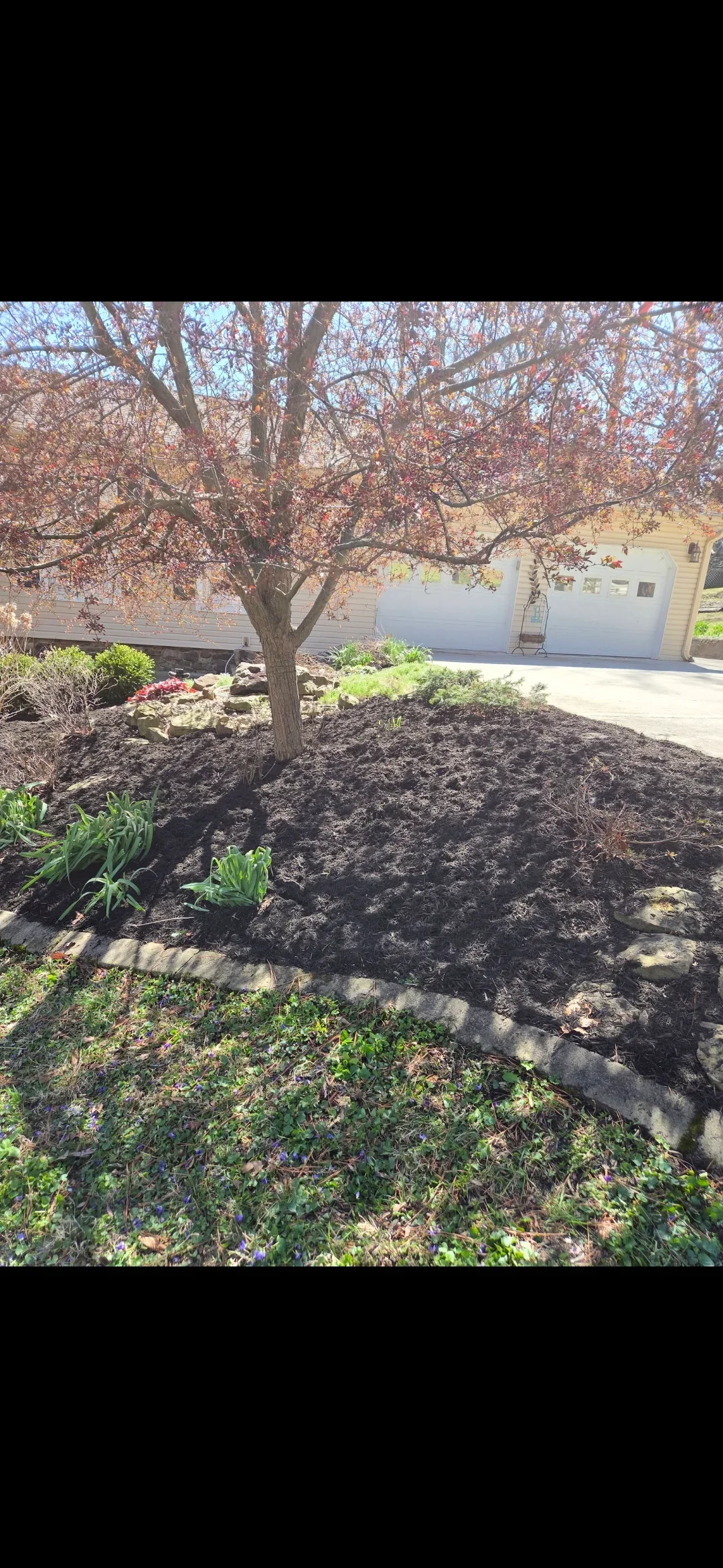 Dark mulch landscape bed with stone edging, mature tree, and spring plantings near residential garage